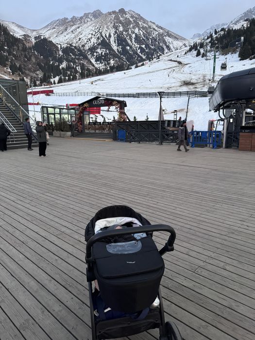 Коляска Tomix Walker 2в1