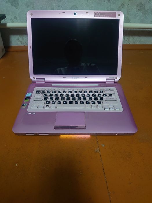 Sony VAIO Dual CPU