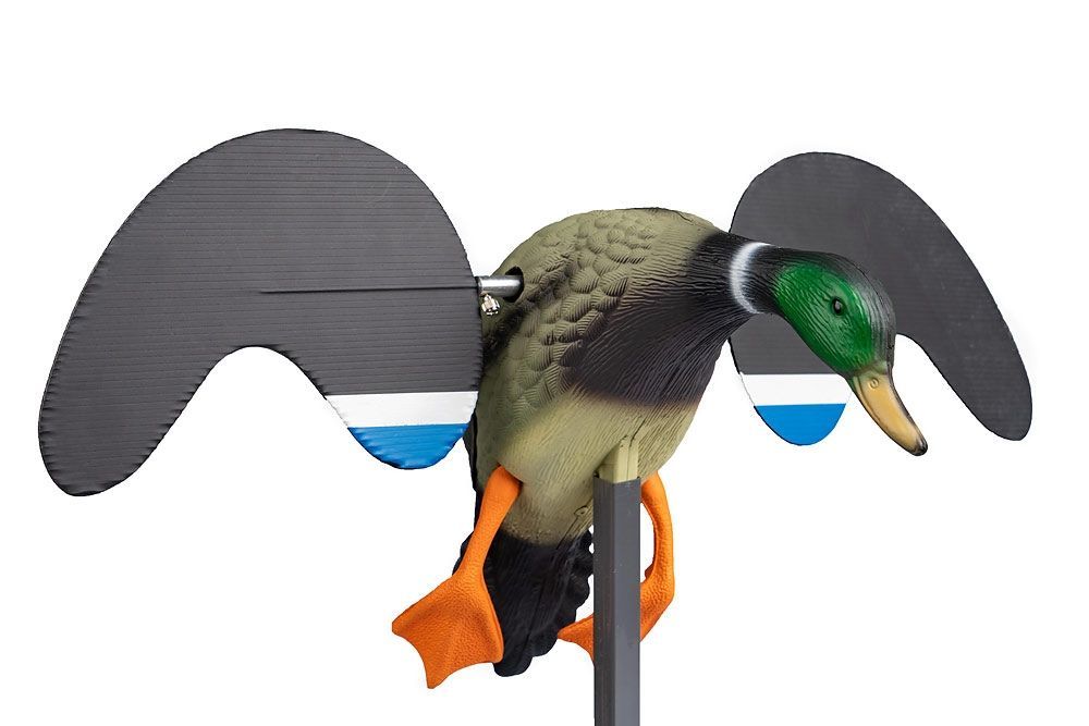 Утка подсадная (махокрыл)