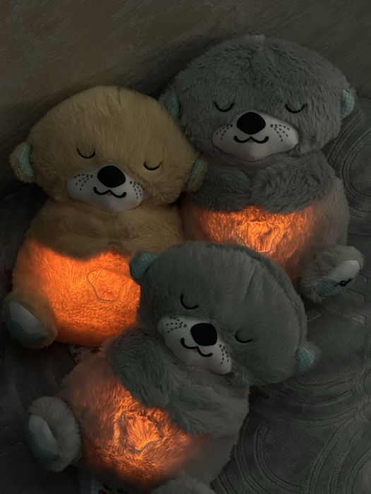 Спящая выдра