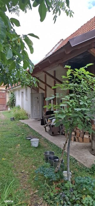 Casa în Zarnesti zona centrală, 2 camere, pivnita, anexe, teren 569 mp