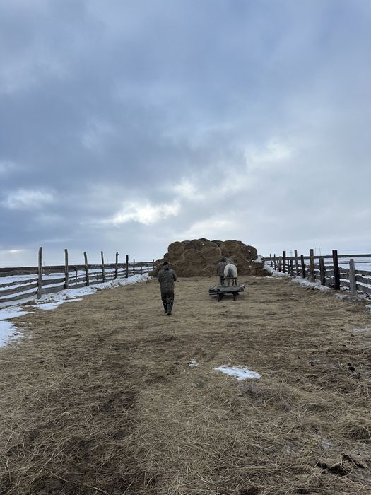 Крестьянское хозяйство