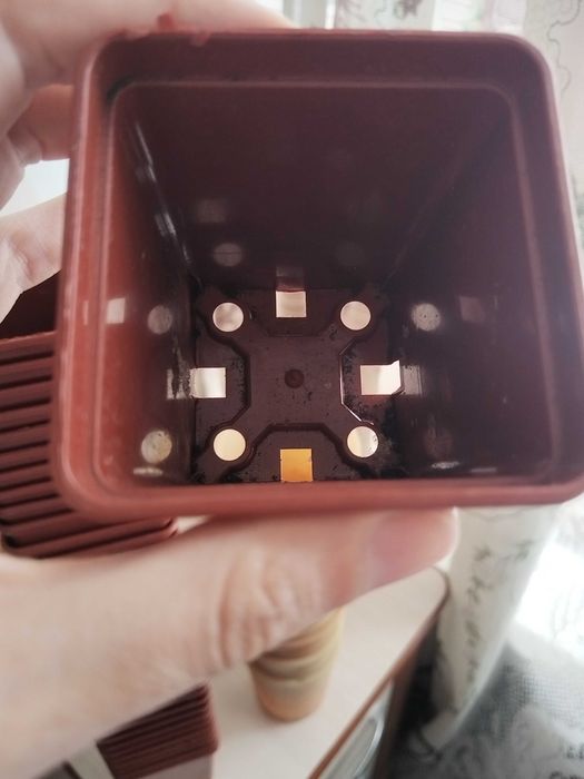 Горшочки для рассады