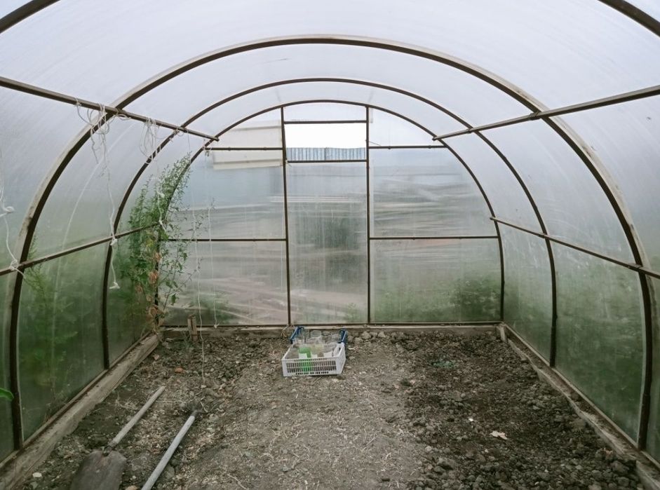 Теплицы. Жылыжай