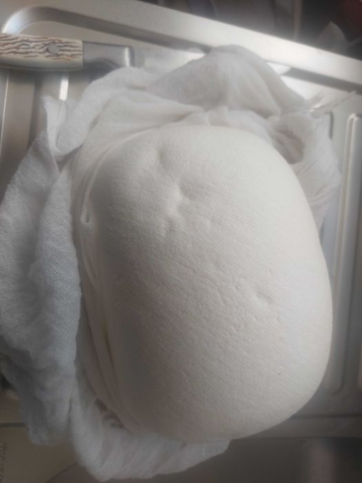 Vand cas de vaca , amestecat vaca cu oaie sau doar de oaie