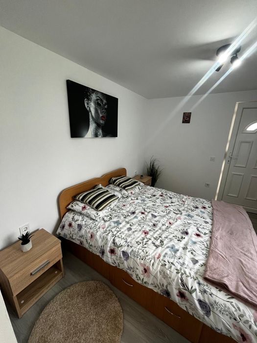 Cabana Ava- Cabană de închiriat pe Valea Avrigului