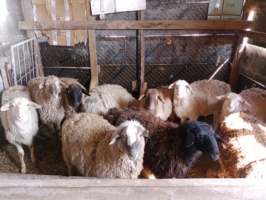 Срочно срочно продам