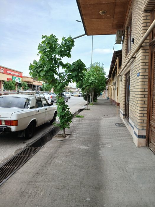 Аренда Ижарага берилади