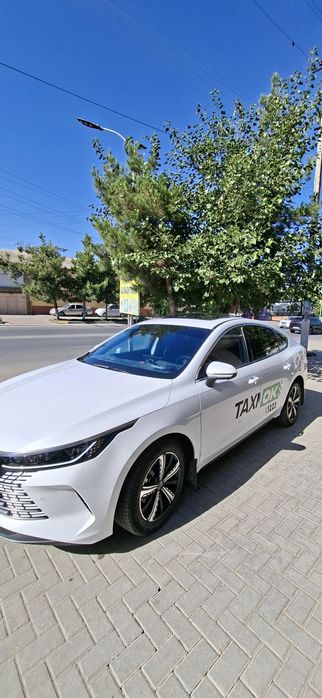Бевади бирнчи кул 2025 п 50 м