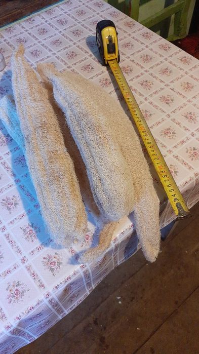 Lufa burete natural luffa