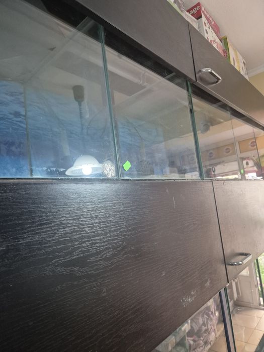 Raft  dotat cu  acvarii