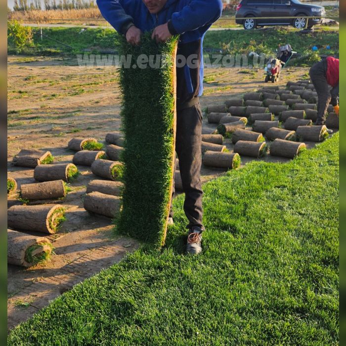 Рулонные газоны установка доставка а также оптом