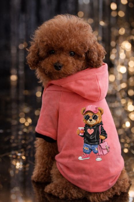 Дрешки за кучета