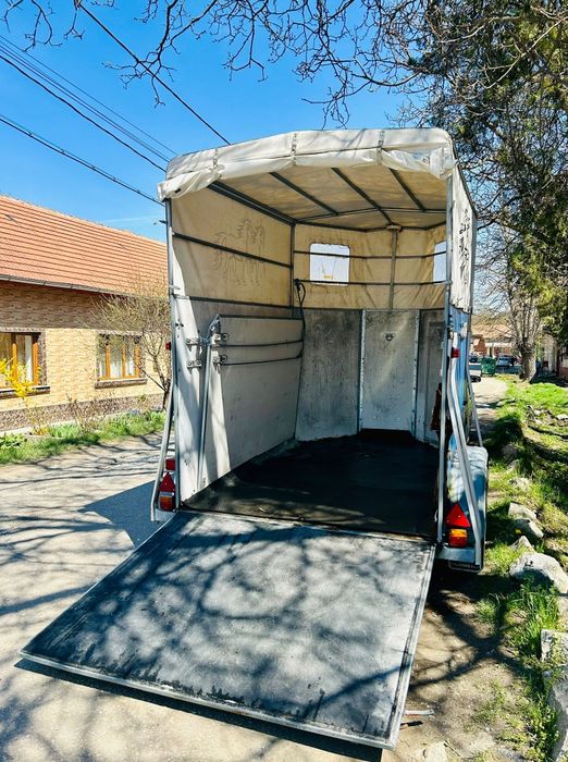 Pentru cai sau animale