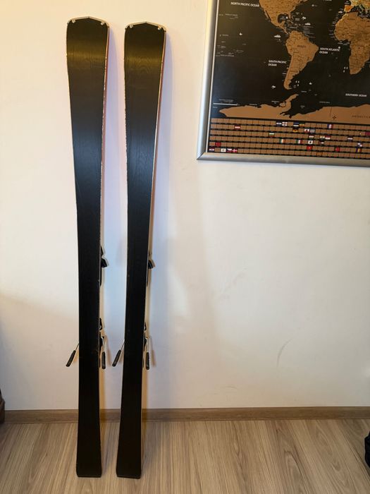 Schiuri Fischer The Curv XTR 2023