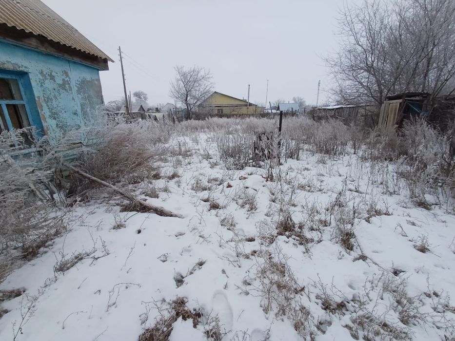 Бөрлі ауылы жер сатылады.