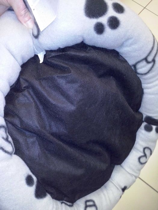 Pat caine, pisica, Nou - Brasov