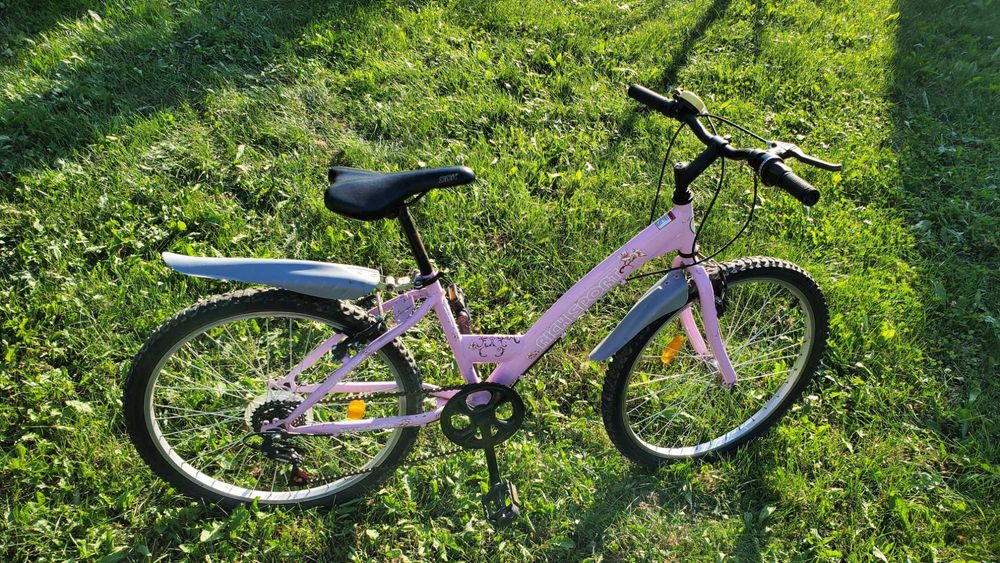 Cadru sport profesional