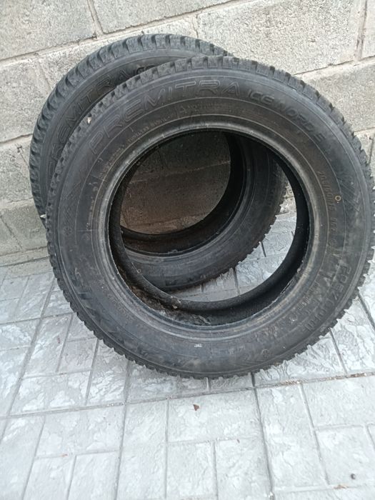 Шины зимние шипованные