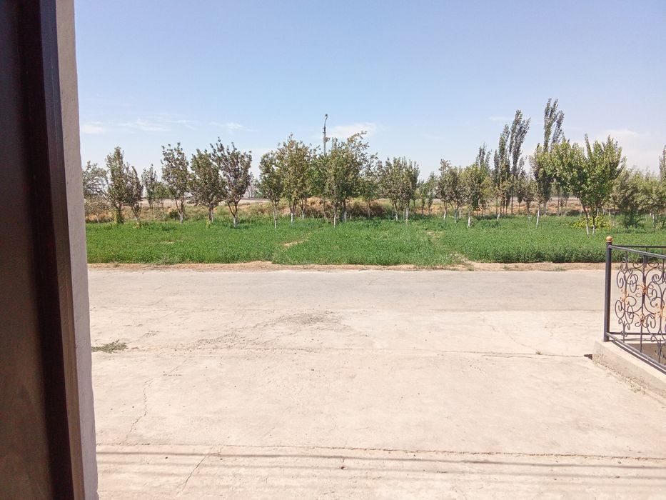 Barcha qulayliklarga ega 6 sotixli katij tez kunda sotiladi.