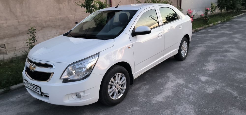 Other Cobalt 2021 — 3