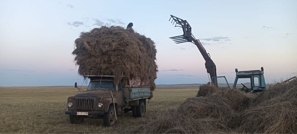 Сено / сено в рулонах / россыпной