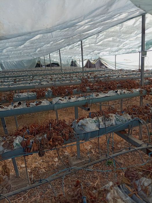 Parnik temir tersaklari sotiladi