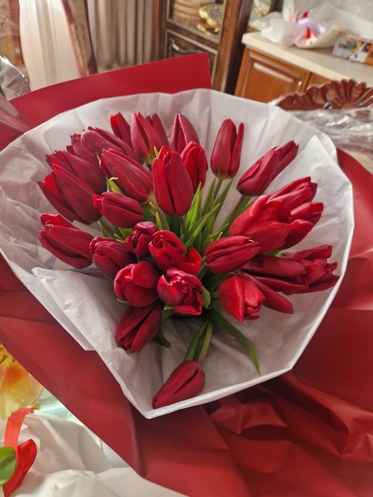 Тюльпан гулдері бу