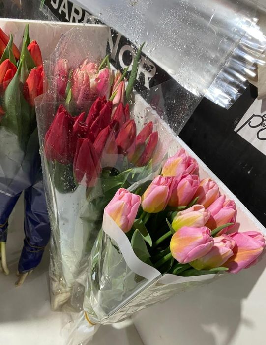 Продаем тюльпаны