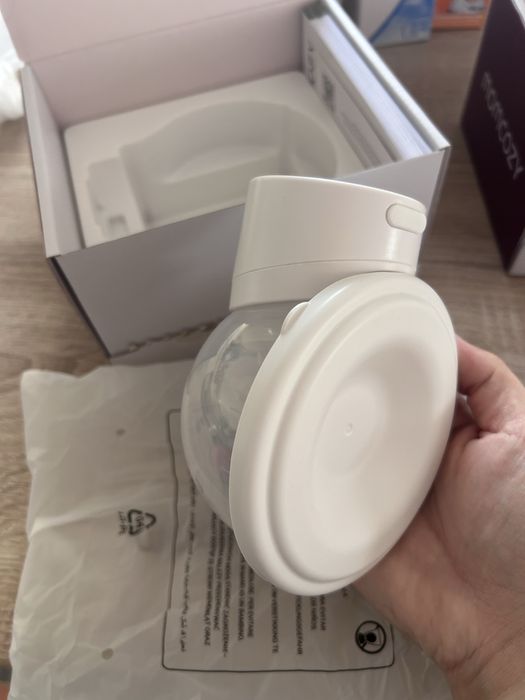 Pompa de san momcozy