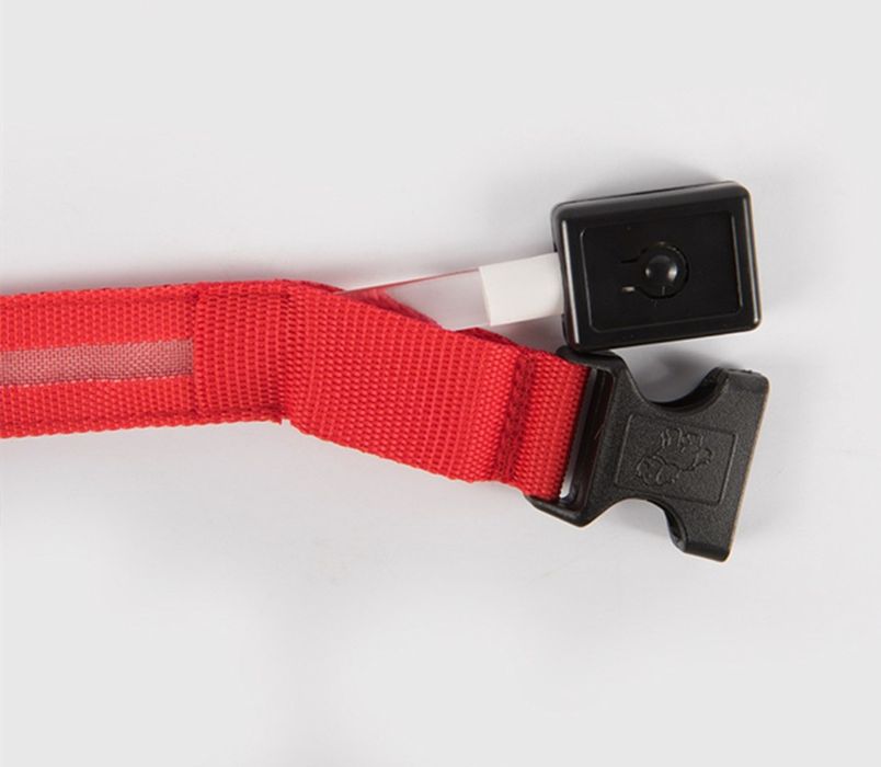 Zgardă luminoasă, cu încărcare prin USB, culoare verde și roșu