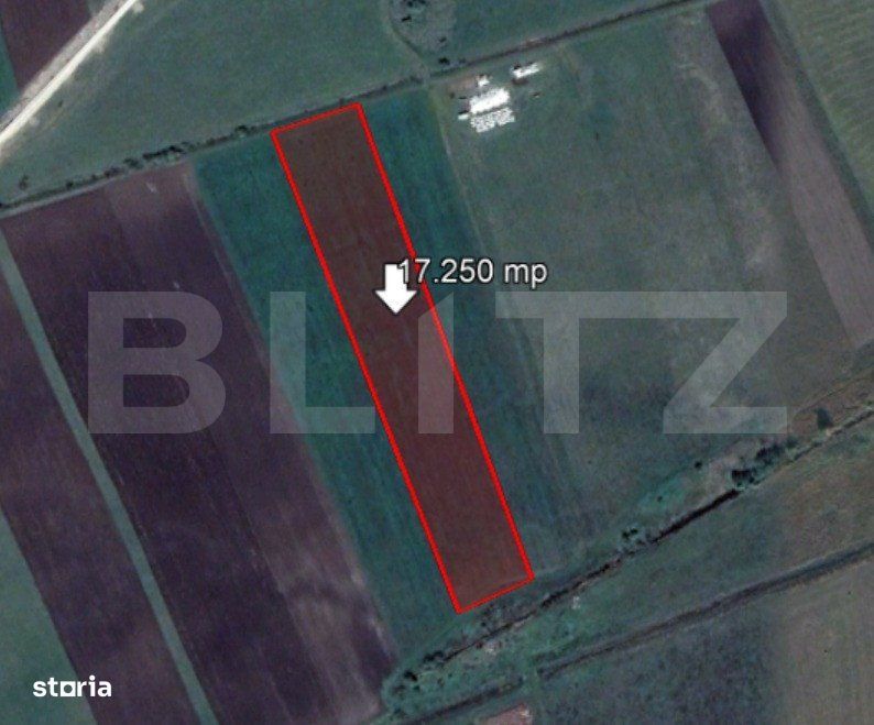 Teren de 17250 mp, Stupini