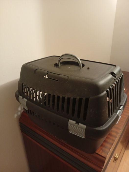 Cusca transport pisici