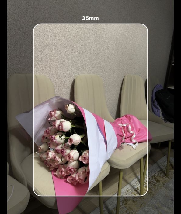 Роза 25шт свежая