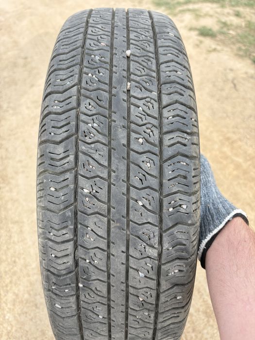 Шины всесезонные R13 175/70