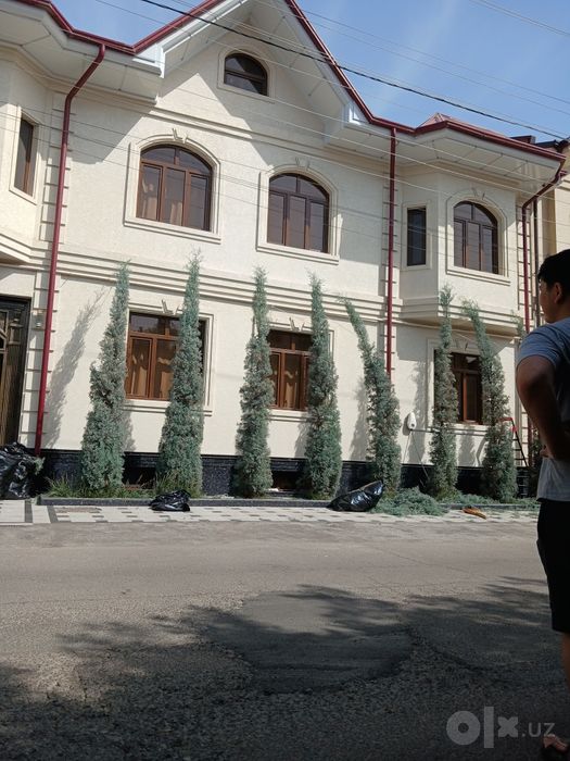Archa kesish xizmati