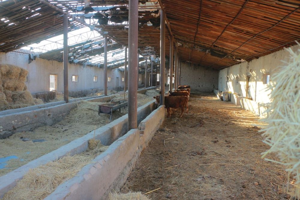 Янгиарик тумани Остона кишлоги Сардорлар махалласида бино ва ер майдон