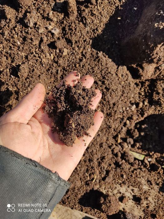 Qoplangan go'ng/копли гунг