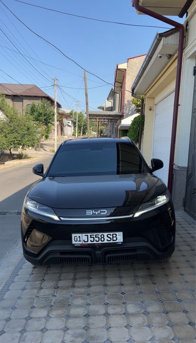 Qora sonsa zashitala skidka bobketi 500000 tanirofka tonirovka tanerof