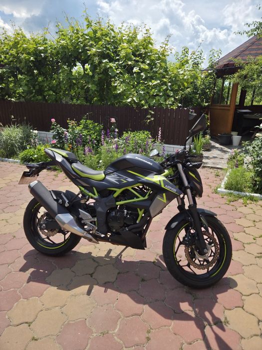 kawasaki z125 2022