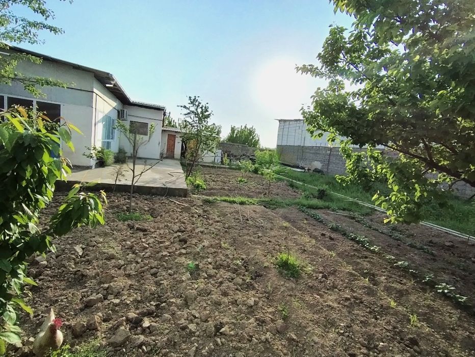 UY SOTILADI. Zangata tumanida. 6 SOTIK