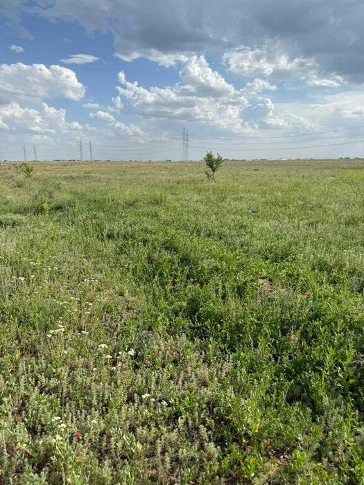 Продаются земельные участки в поселке Каражар