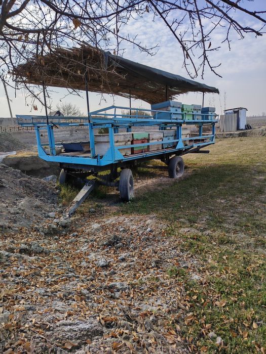 Асалари павелен сотилади