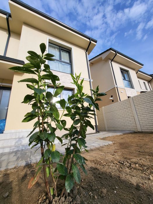 Proprietar inchiriez duplex in Mosnita