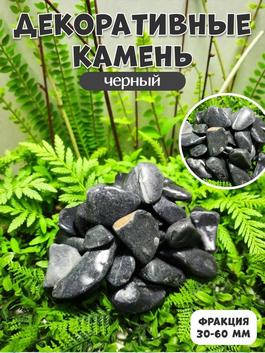 Декоративные камни | Dekorativ toshlar | Rangli tosh | Gul | Akvarium