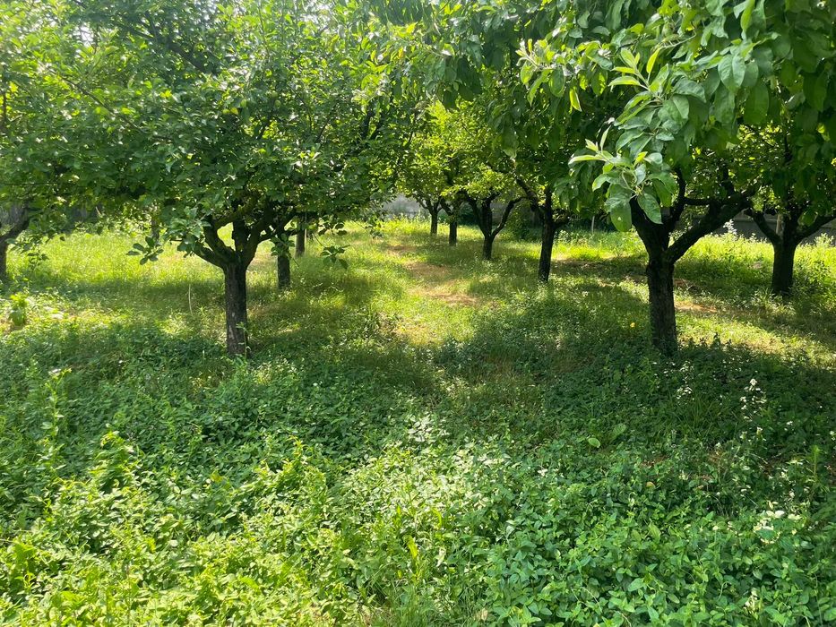 Casa de vanzare in Sat Ghirdoveni Com ILCaragiale Jud Dambovita