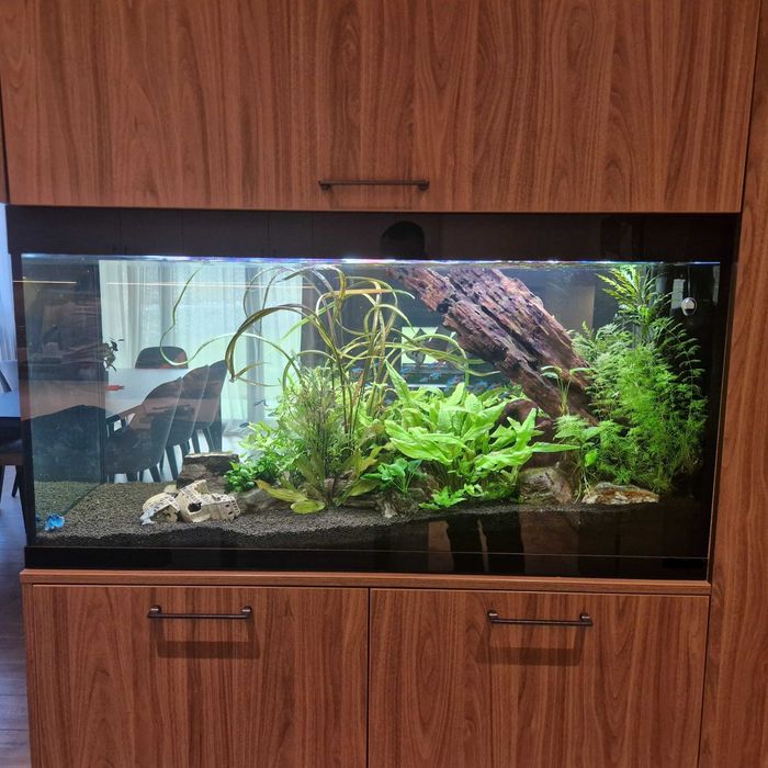 Поддръжка и изработка на аквариуми  Аква Кеър