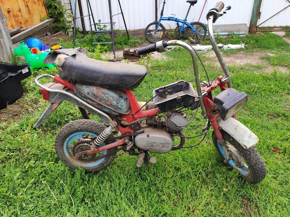 Мини Рига(Стелла)