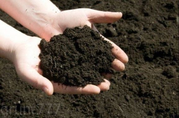 Продам Черназем мешками