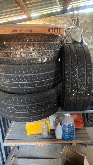 Шины чангана бушный